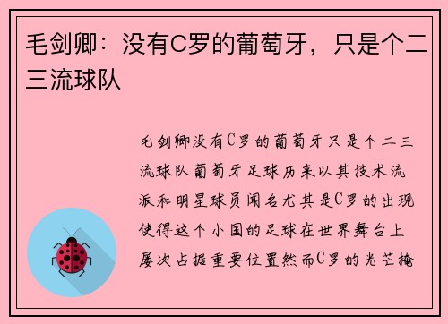 毛剑卿：没有C罗的葡萄牙，只是个二三流球队