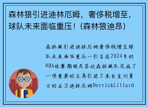 森林狼引进迪林厄姆，奢侈税增至，球队未来面临重压！(森林狼迪昂)